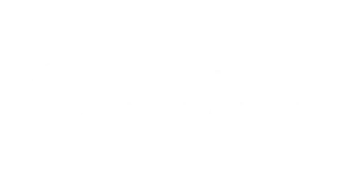 Next Level Apparel logo